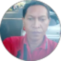 Review From Laurens Erol