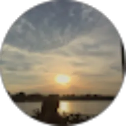 Review From Agustiana Auliyah