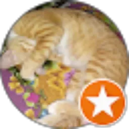 Review From Laila L. Niqmah