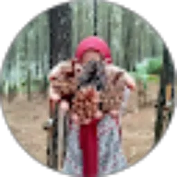 Review From Kartika LD