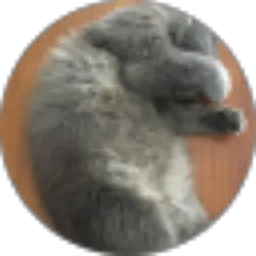 Review From Leonardo C.