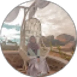 Review From Zharfa Hafizhotul Qonita