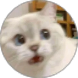 Review From Muh Lukmannul Hakim