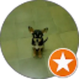 Review From Ana Ari Sukristina