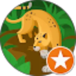 Review From Zakir Husain