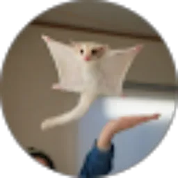 Review From Rido Restu