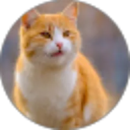 Review From rangga Saputra