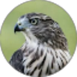 Review From Aditya Nur Iman