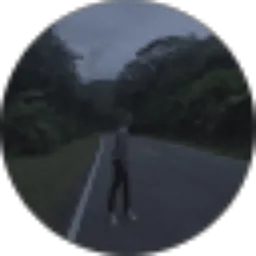 Review From Paulus Ganas