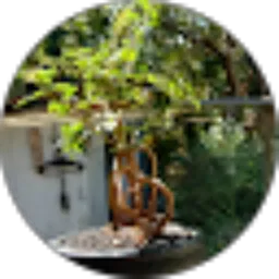 Review From Kacung Dewa