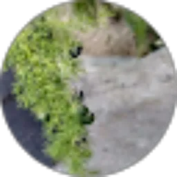 Review From Uwais Qorni