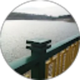 Review From aldilla micrza