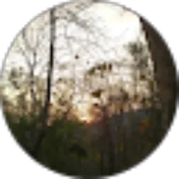 Review From Arviani Ardillah