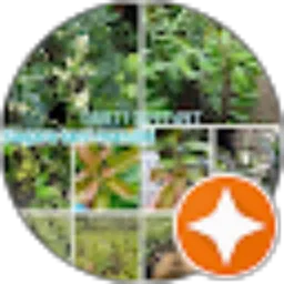 Review From Ryudi Alghivari