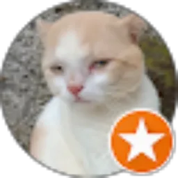 Review From Putrina Dilla