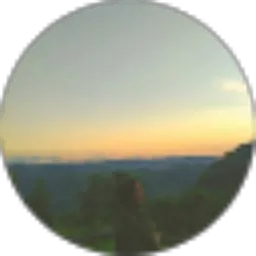 Review From Afifah Putri