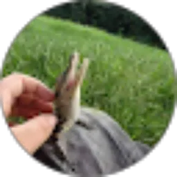 Review From Zainn Abdn