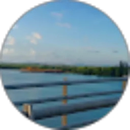 Review From Suprianto