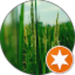 Review From tito wibowo