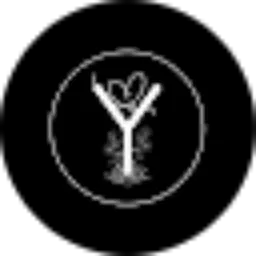 Review From Y Lutfiani