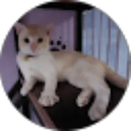 Review From Eni Suprihatin