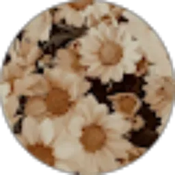 Review From Yenti Ardyansyah