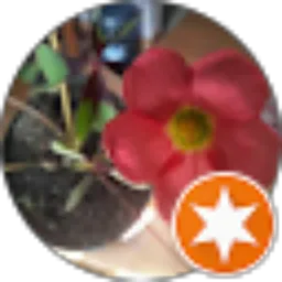 Review From Nismara Fradella Naraiswara