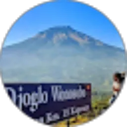 Review From donsky ershi