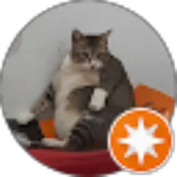 Review From Ananda DiCa