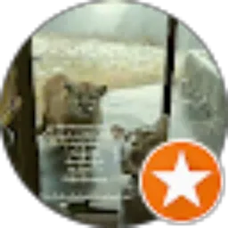 Review From Serenity Coffee