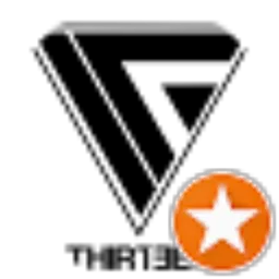 Review From Thirteen Channel