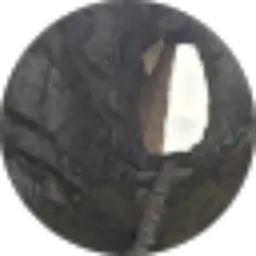 Review From Sammy Quinn