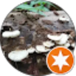 Review From Deasy_ Respati