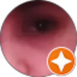 Review From Chandra Winatha