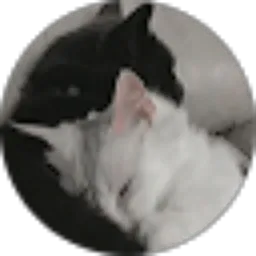 Review From Nadhila Arufah Chafshah