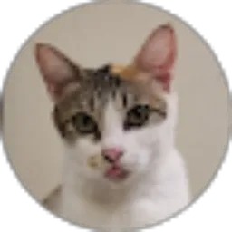 Review From Laila Raden