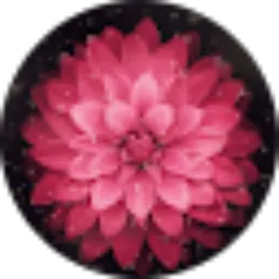 Review From Siti Sarah