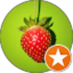 Review From melani sulis