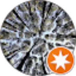 Review From Ika Nurania