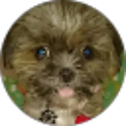 Review From Elvirina cindy