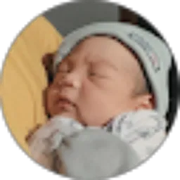 Review From Fahrul Rozy