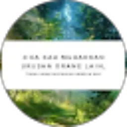 Review From Muhammad Ibrahim