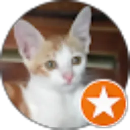 Review From Wulan Puspita S