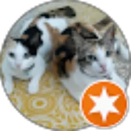 Review From Mevina Tri Budiutami