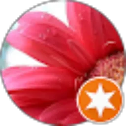 Review From Dwi Asri