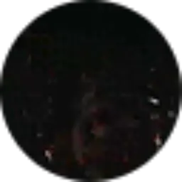 Review From Deddy Irawan