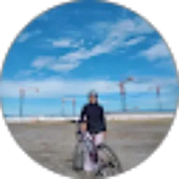 Review From Ririn S. Lestari