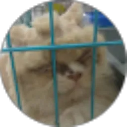 Review From Marcel Paliuga Rahmadhan