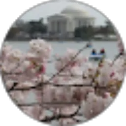 Review From Ririn Agustina