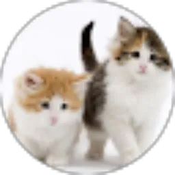 Review From Arsan Muhammad